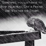 A7F02EB9-9778-41FD-BF1F-3B135177BDA8.jpeg