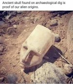 B8FDE587-18E9-4C4F-BA3D-17B4039B7681.jpeg
