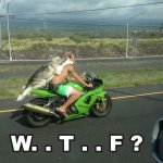 87C5C138-307F-4B42-A266-62F39EC3236D.jpeg