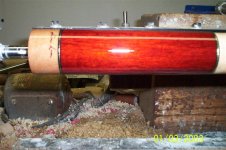 000_1263 (Medium).JPG