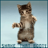 th_dancingkitty.gif