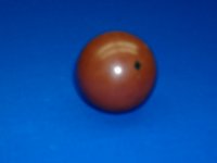 DSCF0344.JPG