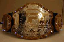wwe belt.gif