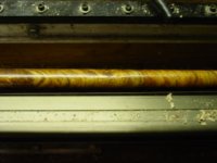 DSCA5859.jpg