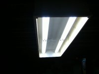 light3.JPG