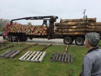 Wood Load.jpg