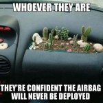 Cactus.jpg
