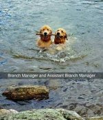 branchmanager.jpg branchmanager.jpg