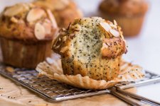 Almond_Poppy_Seed_Muffins06.jpg