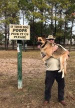 pickupdog.jpg