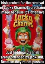 Irish-Protest-Leprechaun.jpg