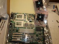 p-pro_2212.jpg