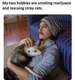 untitled555.jpg