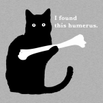4A410622-30BD-40DD-AF41-A58132D0234A.png