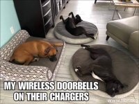 FB_IMG_1546096996978.jpg