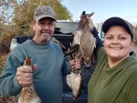 ducks2.jpg