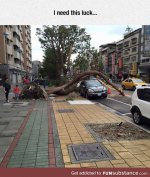1F99ACB4-F28C-4DD5-AEFD-B9A84C49405D.jpeg