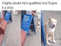 3DADF999-E30D-4412-9993-39B0EA1A2F72.jpeg