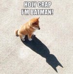 best-dog-memes-2015.jpg