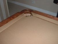 DSCF1549.JPG