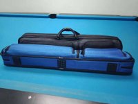 korea cases blue.JPG