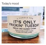 tuesday.jpg