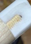 Ferrule.jpg