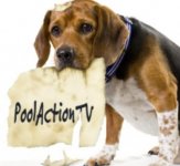 POOLACTIONTV.jpg