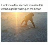 16830819_390057398037415_2384295486388755683_n.jpg