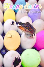 Easter 1.jpg