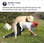 trump_dog.jpg