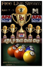 APA 9 Ball 2019 poster copy.jpg