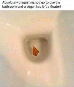 889C9375-80C5-4426-A08A-DE85E979BAAF.jpeg