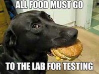 lab-4-testing.jpg