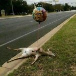 Deer-balloon.jpg