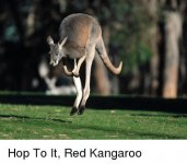 A0EA204C-4AEB-4C44-A567-0277B644C3D8.jpeg A0EA204C-4AEB-4C44-A567-0277B644C3D8.jpeg