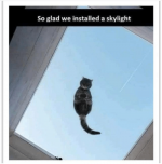 01E1555A-A0C8-421D-92EA-91F833B408D0.png