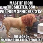 Lion.jpg