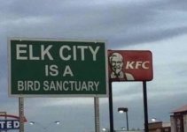 C1B0BD0F-C9F6-40C1-BF79-FFBD32CFDB11.jpeg