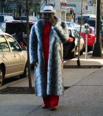 Pimp1.jpg