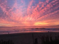 IMG_2429.jpg