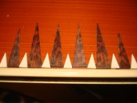 Snakewood Points.JPG