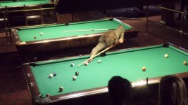 wax2019-10-04-14h03m37s709.jpg