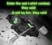 witch.jpg