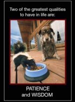 FB_IMG_1571379748312.jpg