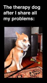 776E4107-8F3D-45E3-9EDD-6422F8527D2A.jpeg