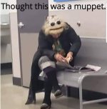 74232802_2440495259547981_1877134290148392960_n.jpg