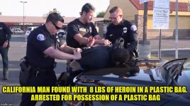 plastic bag.jpg