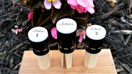 Runde Schon Stitch Ring Custom Joint Protectors (12).jpg