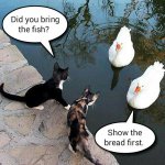lets-talk-trade-392.jpg